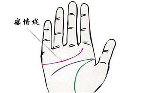 手相男人感情线图解大全 感情线分叉是什么意思