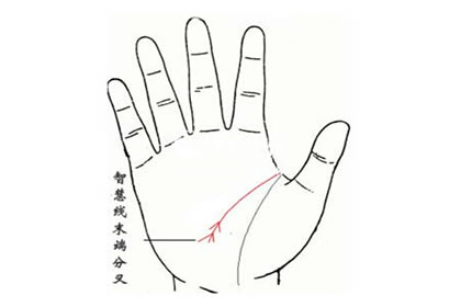 手掌三角纹代表什么意思